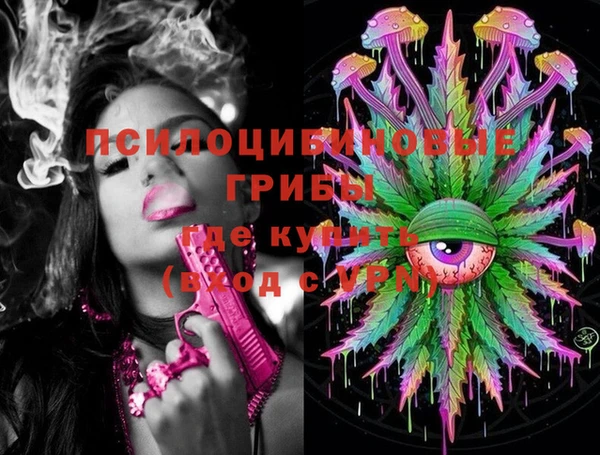 дживик Лихославль