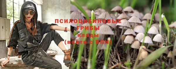 мдпв Лиски