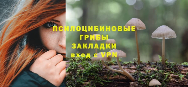 дживик Лихославль