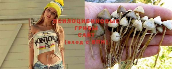 дживик Лихославль