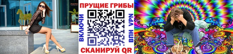Псилоцибиновые грибы мухоморы  Купить закладки  Среднеколымск 