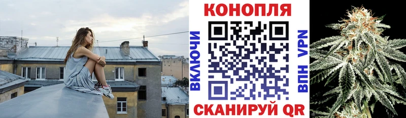 Купить закладки  Среднеколымск  Марихуана сатива 